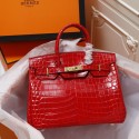 Hermes Birkin 30cm Red Gold Hardware Bag HT00541