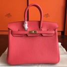 Hermes Bougainvillier Clemence Birkin 25cm Handmade Bag HT00606